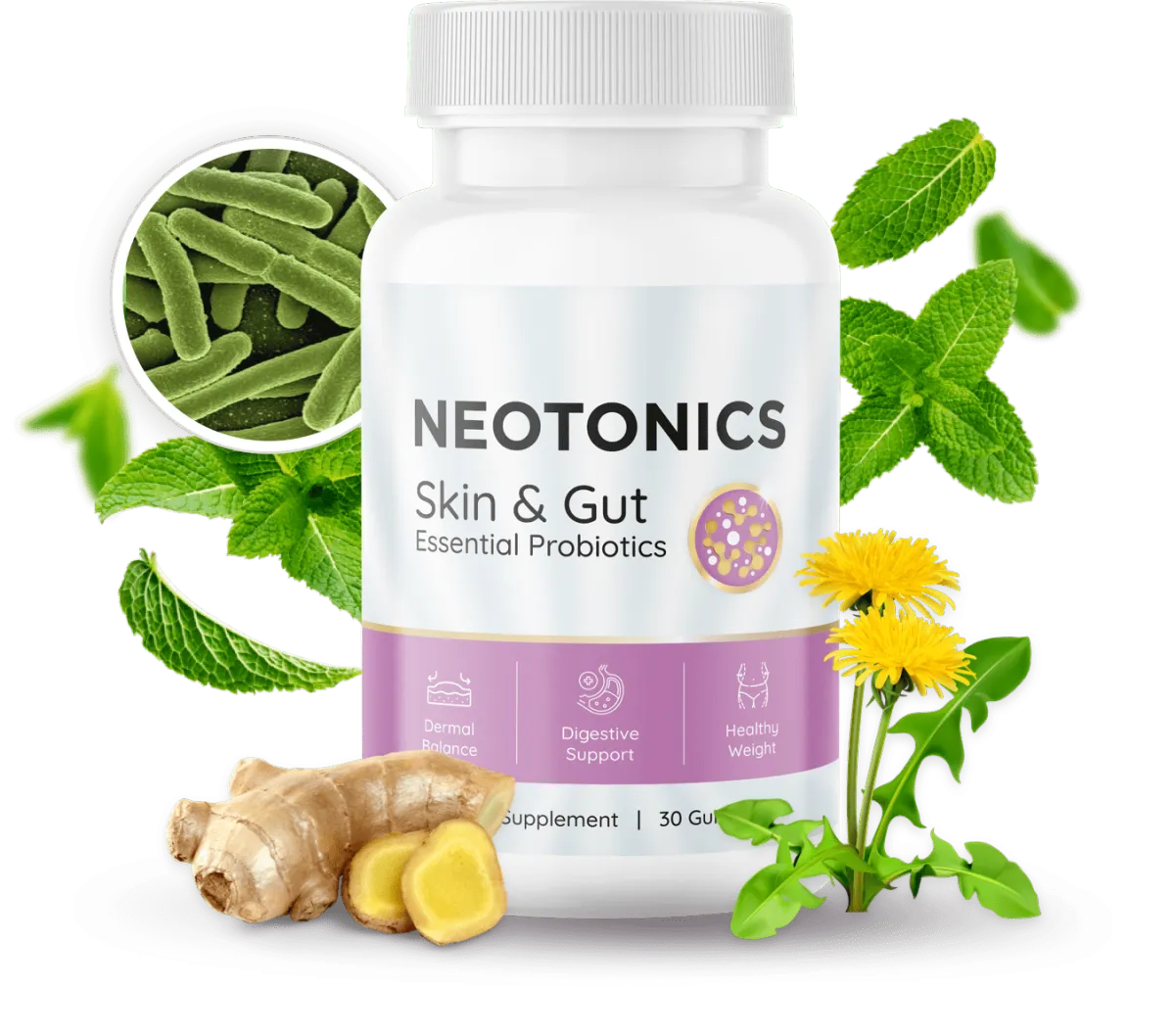 neotonics official website Supplement Bottle